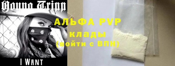 стафф Россошь