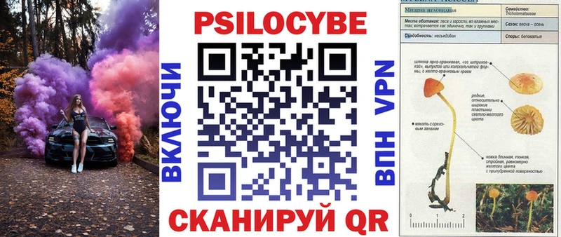купить  сайты  mega вход  Галлюциногенные грибы GOLDEN TEACHER  Нарткала 