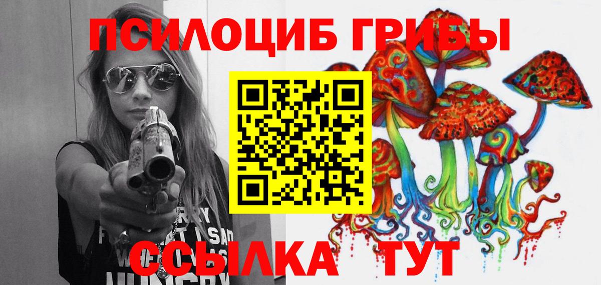 наркотики  Псилоцибиновые грибы мицелий  Вход с VPN  Нарткала 